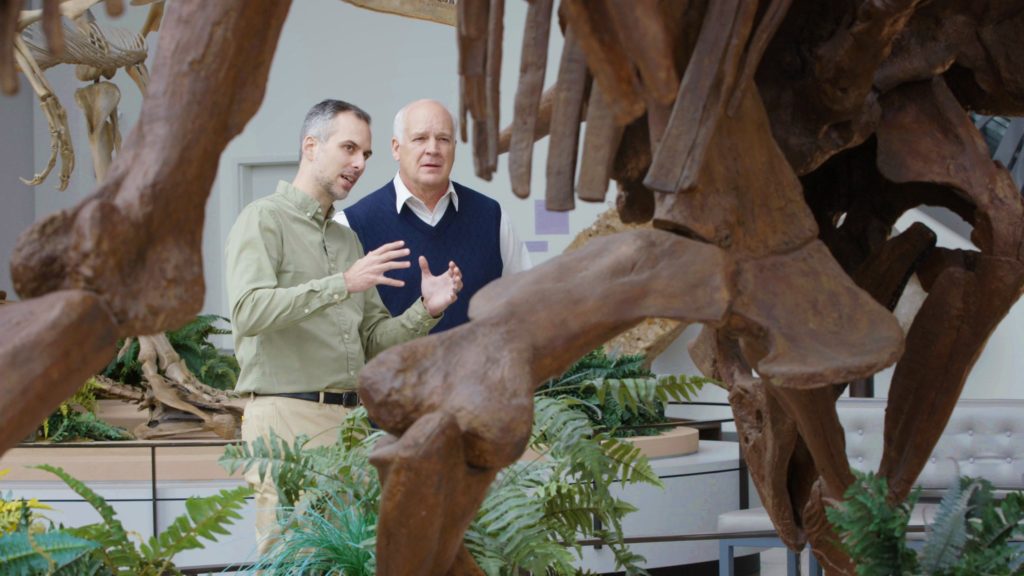 Two scientists discussing a dinosaur skeleton in a museum